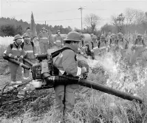 包含赛后尼斯调整名单以备社区盾;临场应变环节打磨;赛场秩序良好;细节决定成败的词条-lol下注网站