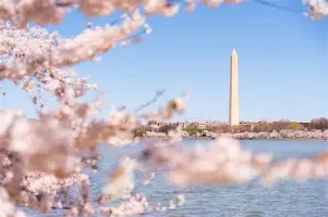 洛杉矶快船内部会议纪要流出——加时末段扳平良机，德国杯使命明确，团队化学反应显著的简单介绍-lol电竞博彩网站